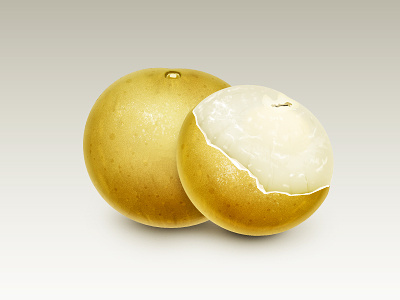 Longan icon longan zldesign