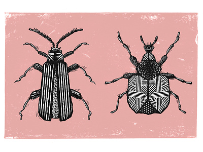 Linocut Insects beetle beetles brush brushes bug bugs insect insects lino lino cut linocut procreate