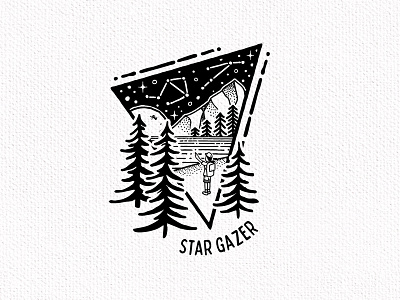 Star Gazer camper camping constellation constellations moon mountain mountains night nighttime outdoor outdoors river star star logo stars tree trees wilderness