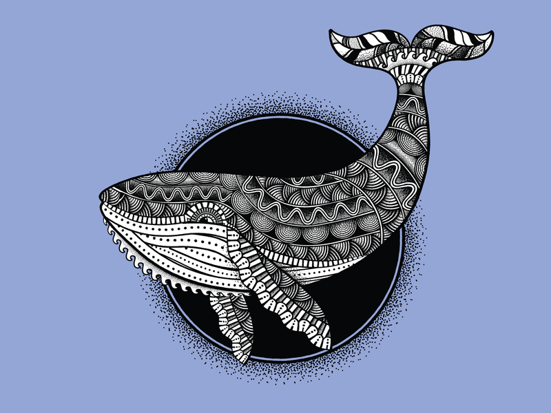 Download Zentangle Whale by Jeremy on Dribbble