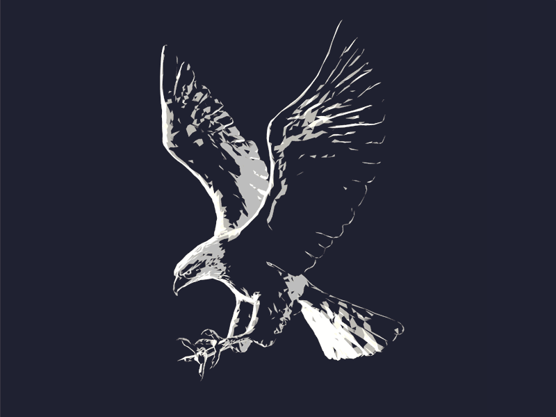 Eagle - Digital abstract 3d animal chanel eagle illustration ion lucin minimal modeling