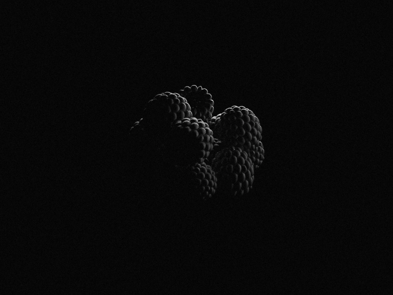 Fragile Berries 3d black darness design ion lucin light lighting minimal modeling photography