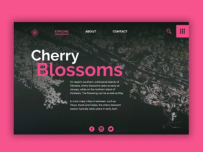 Cherry - Web Design cherryblossom design flower illustration landingpage ui uiux ux web webdesign