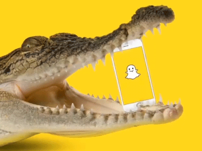 Don't feed the croc crocodile motion snapchat
