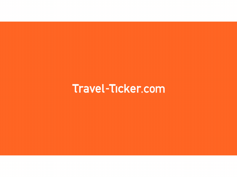 Travel Ticker Logo Animation animation graphics lines logo motion travel