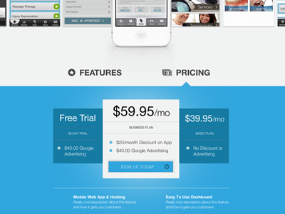 Pricing + Features Thingy blue cash money features pricing table