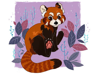 Red Panda 2d artist animal art asia children book children illustration china illustration red panda