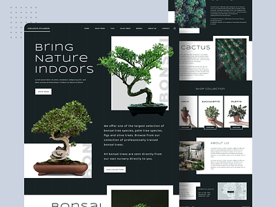 Plant Shop Website bonsai cactus fresh green plant plantshop plantwebsite shop succulent webdesigner websitedesign websitedesigns