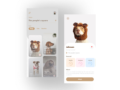 Pet adoption Agency app design icon ui ux