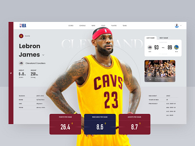 NBA Star Lebron James News Section design icon ui ux web