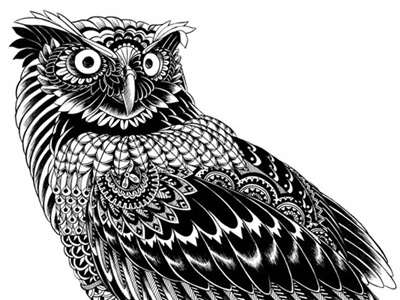 Ornate Owl animal bird black drawing illustration ink ornate owl pattern pen