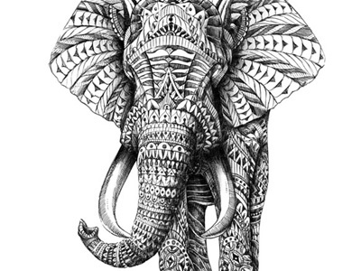Ornate Elephant animal drawing elephant illustration ornate paisley pattern sketch