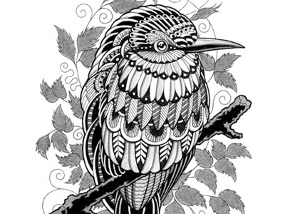 Bee Eater bee eater bird drawing feather flourish graphite illustration ink ornate pattern pen vine