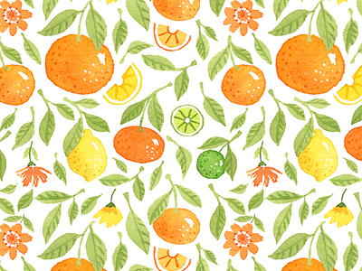Citrus pattern illustration prints