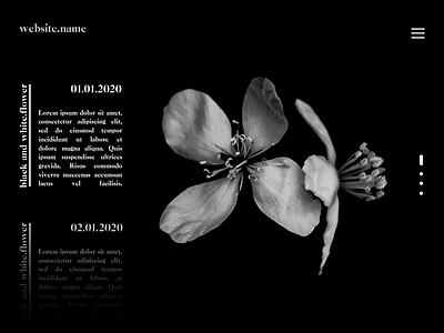 Black.White typography ui web webdesign website