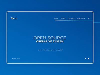 Fly.os Website Concept