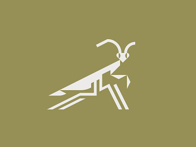 Praying Mantis design flat graphic illustration illustrator insect insects logo mantis minimal praying mantis vector