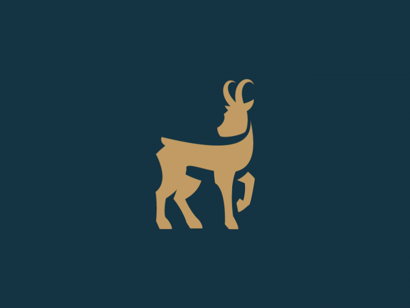 Makalu animation brand branding character design flat graphic design icon illustration illustrator logo minimal vector