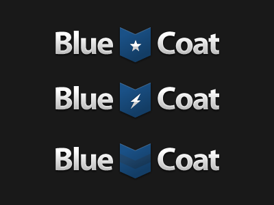 Blue Coat Logo Redesign logo