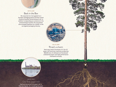 Paper Company Site (History Page) history manipulation paper photo timeline tree web design