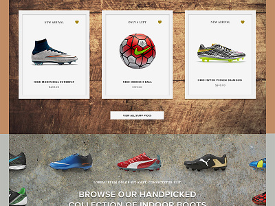 Soccer Website Concept