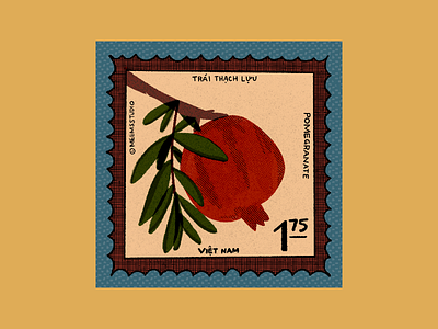 Vietnamese Pomegranate Stamp fruit illustration pomegranate procreate stamp vietnamese