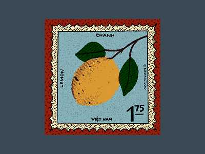 Vietnamese Lemon Stamp fruit illustration lemon procreate stamp vietnamese