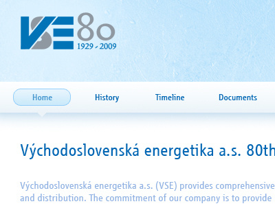 VSE 80 header logo vse