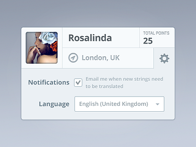 Rosalinda (Settings Widget) drop down light blue light grey location points rosalinda settings tick widget