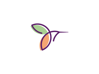 Hummingbird bird bird logo colibri colibri logo hummingbird logo