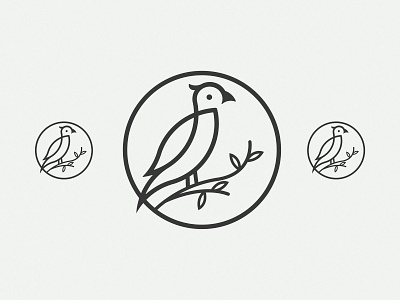 Bird. Logo Inspiration art brand brand design brand identity branding branding design design flat icon icono identity illustration illustrator logo logo design logodesign logomark marca mark vector