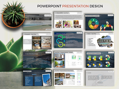 Business Presentation Design