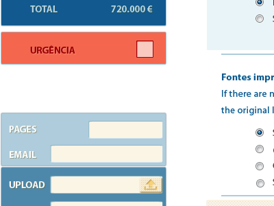 Budget Form Continues filling form form webdesign