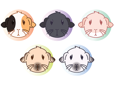 Satin Guinea Pig Icons animal animal character animal icon animal illustration design guinea pig guinea pig icon illustration logotype pet icon pet illustration