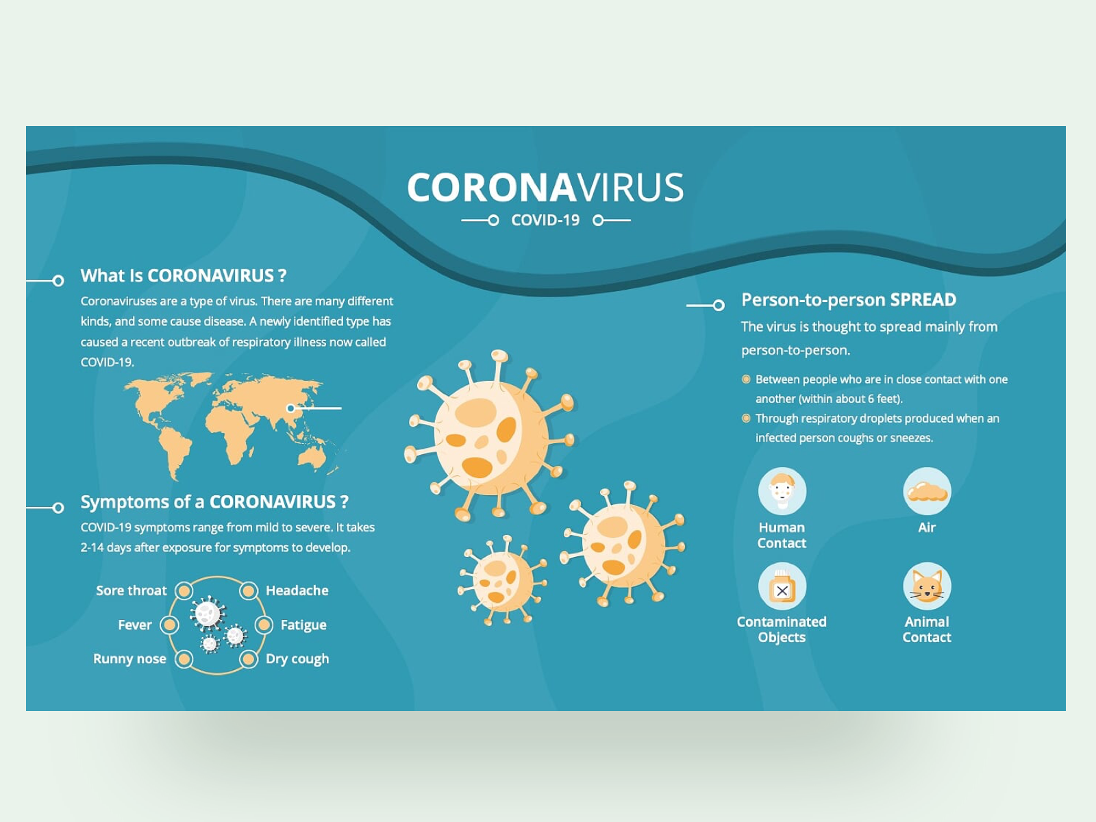 Coronavirus PPT Template - Symptoms & Infection by Premast on Dribbble Pertaining To Virus Powerpoint Template Free Download