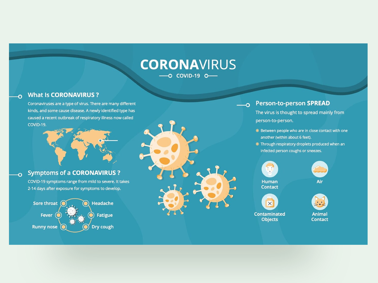 Coronavirus PPT Template - Symptoms & Infection by Premast on Dribbble Within Virus Powerpoint Template Free Download