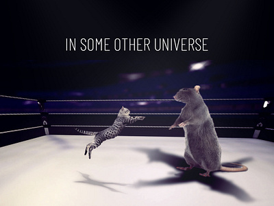 Cat VS Rat animals cats composite compositing mouse pets photoshop poster rat wrestling