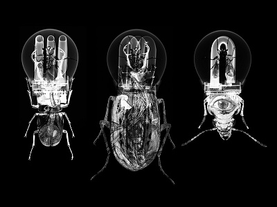 Metamorphosis bugs creatures cyber dark design digital flyer graphic insects morph party species