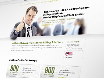 Paypercall - website proposal black green website white