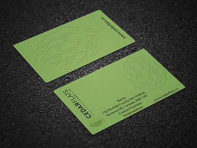 Business card bussines card card illustrator