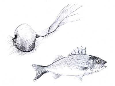 Fish and onion illustration onion pencil sea bass