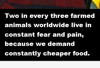 Copy for Compassion in World Farming campaign