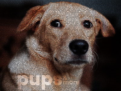 Henloo there Hooman doggo dogs mask photoshop pupper puppy pure tamil texts wrap