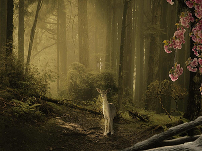 Deer Fantasy Photo Manipulation