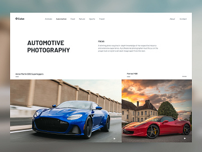 Photography Website Design