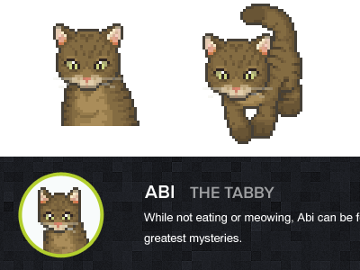 Abi — The Tabby abi about us avatar creative agency head shot identity pixelified pixels portrait tabby tabby cat who we are