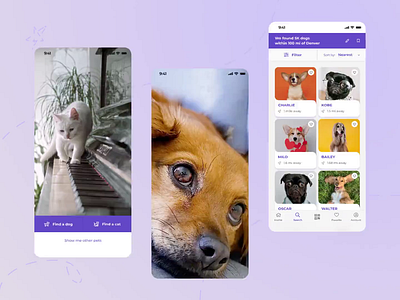 Pet Adoption App animation app principle ui ux