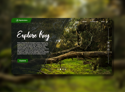 travel landing page flores landing page landingpage modern landing page travel landing page