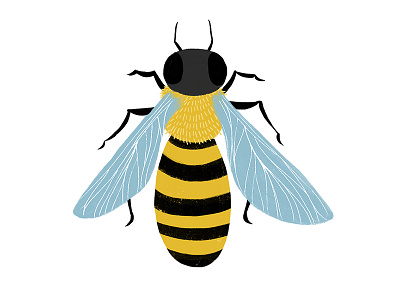 Honey Bee - insects / honeybee / beekeeping digital painting animal animals bee beekeeping black character gold honey honeybee illustration nature