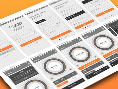 Legit Wireframes app dashboard diet fitness health mobile tracker user experience ux wireframes